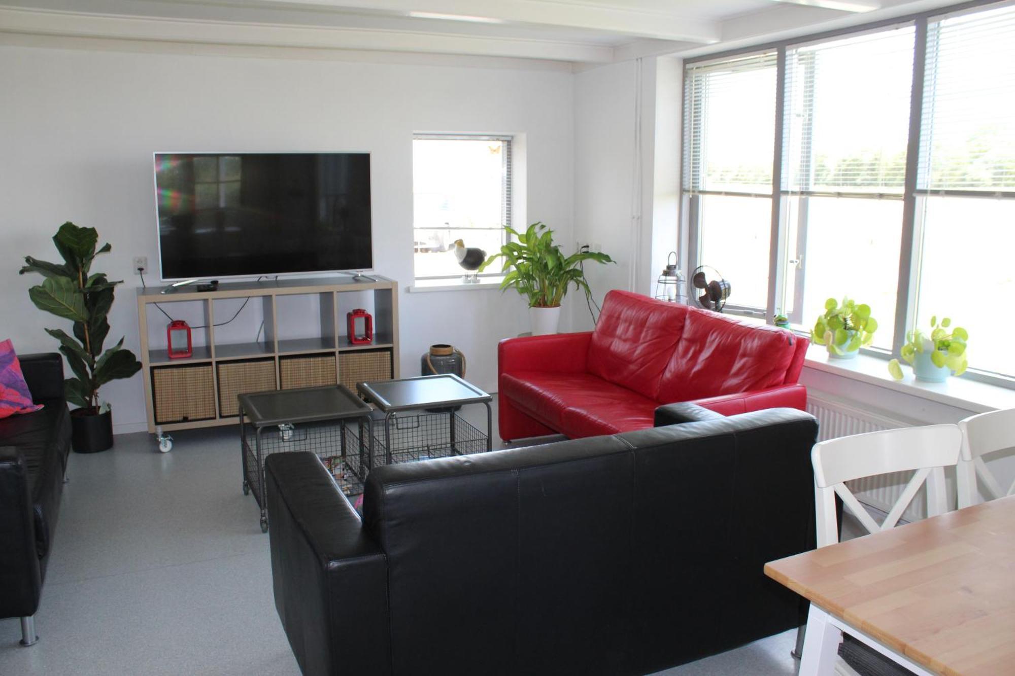 Vrijstaande Ruime Familiewoning Landelijk Gelegen Vila Lewedorp Exterior foto