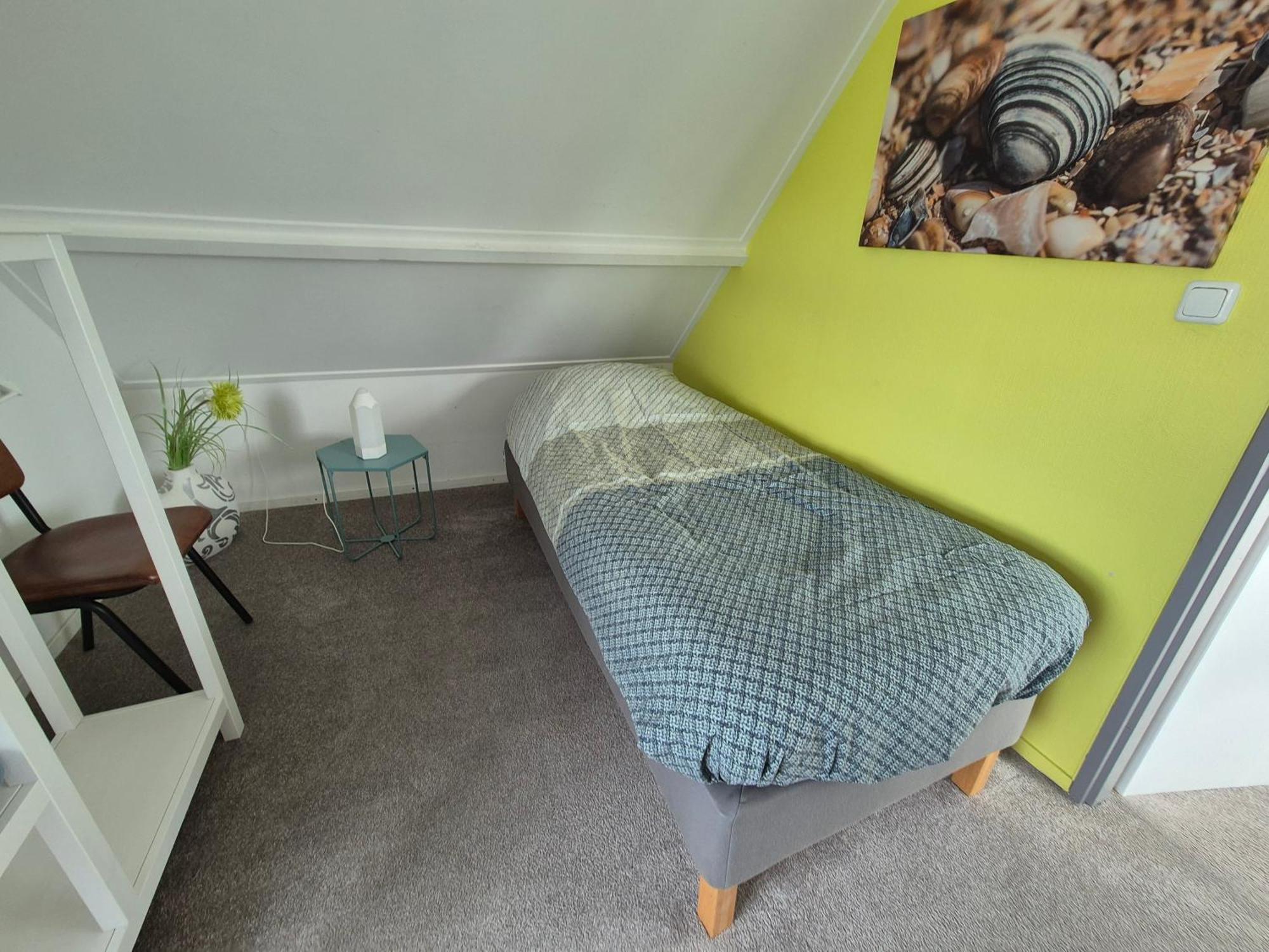 Vrijstaande Ruime Familiewoning Landelijk Gelegen Vila Lewedorp Exterior foto