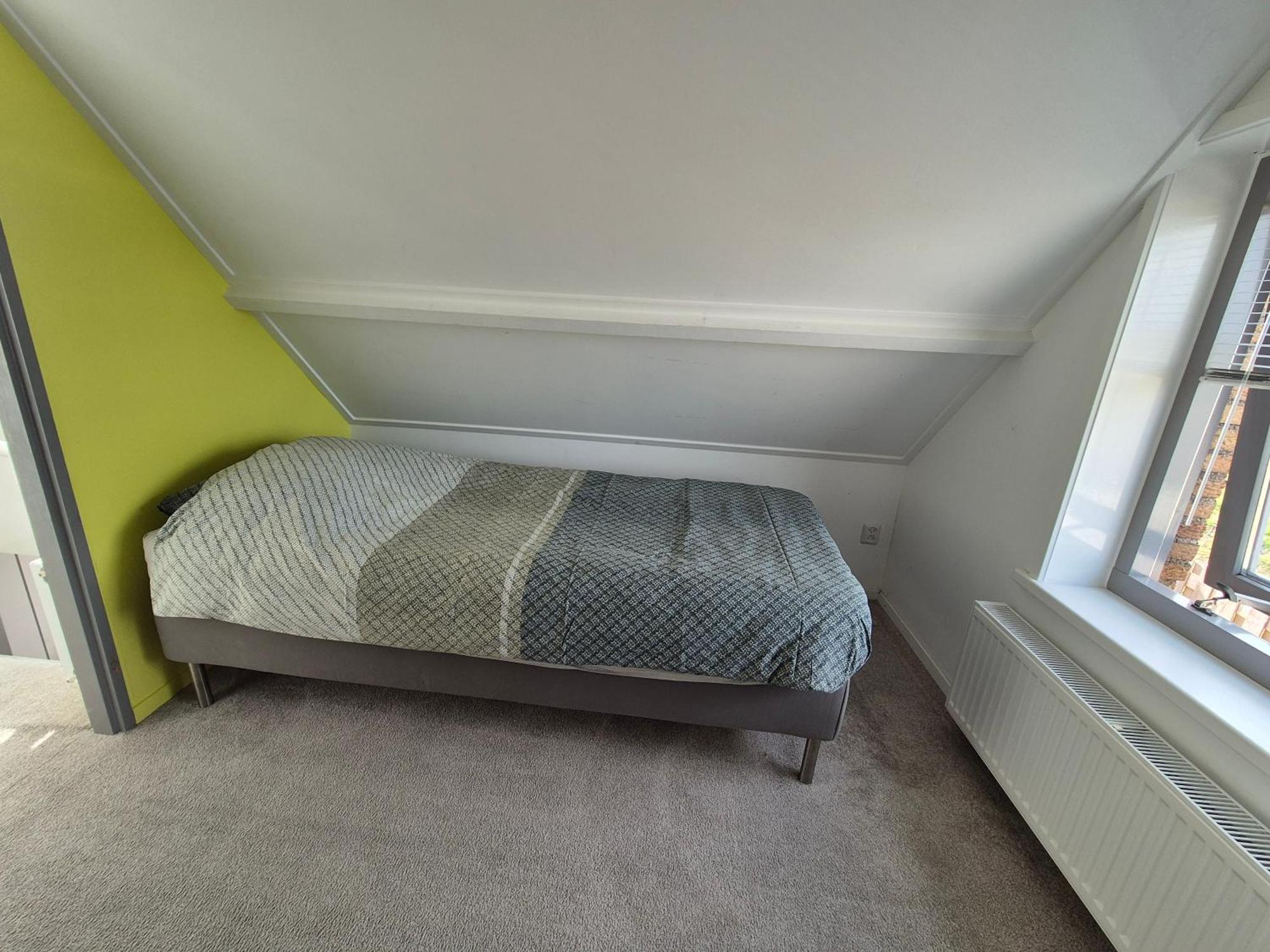 Vrijstaande Ruime Familiewoning Landelijk Gelegen Vila Lewedorp Exterior foto